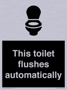 This toilet flushes automatically